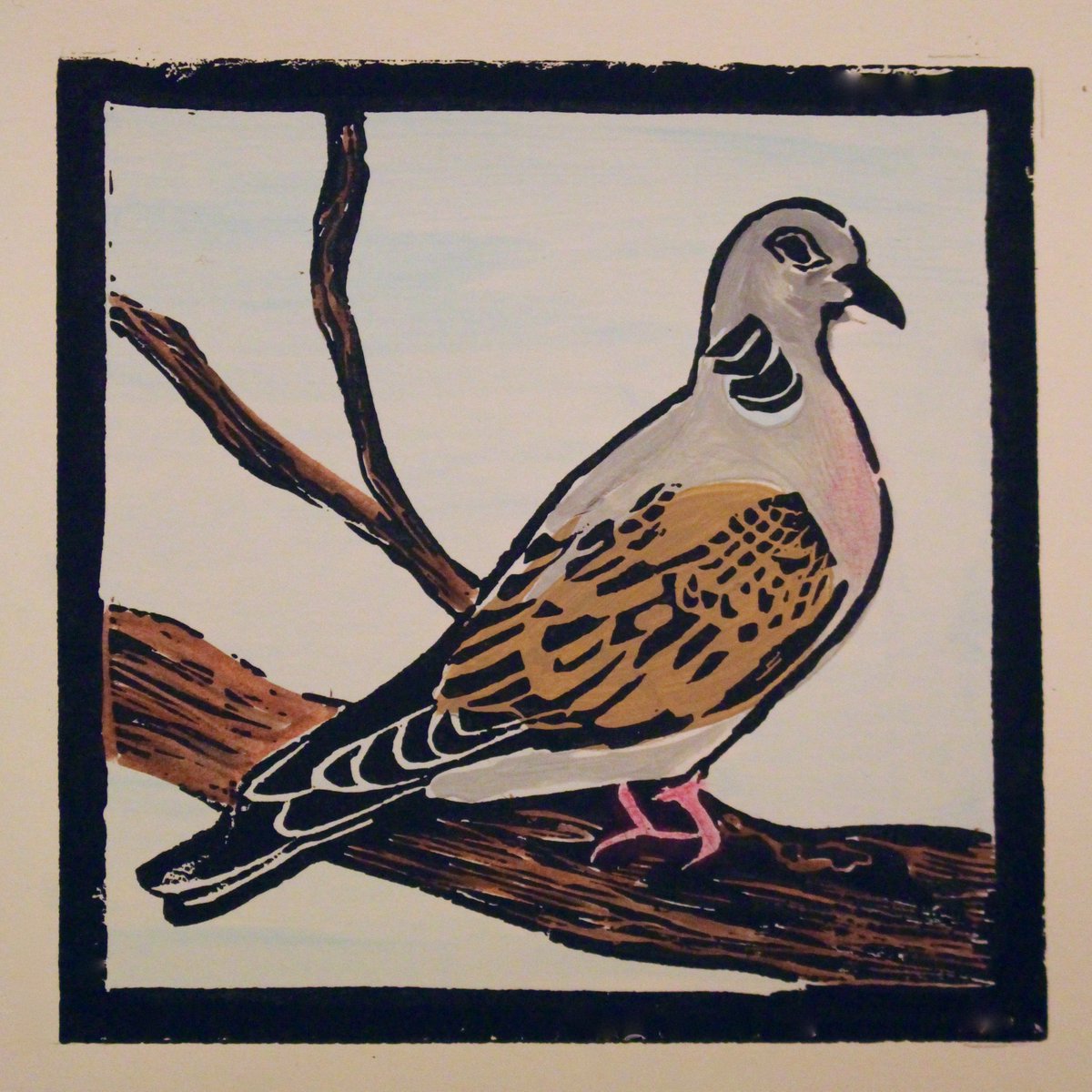 AIsonArt's tweet photo. The Turtle Dove. Its Number 13 of my 20 charity prints complete. All to raise money for @PTES #charitytuesday #ENDANGERED #saveturtledoves #SaveBritishWildlife https://t.co/Wx4SEritBH