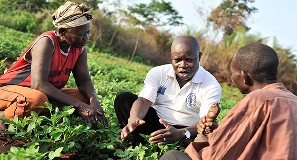 Seminar on #FAO’s Farmer Field Schools programme and Global Platform goo.gl/mu4r4S
