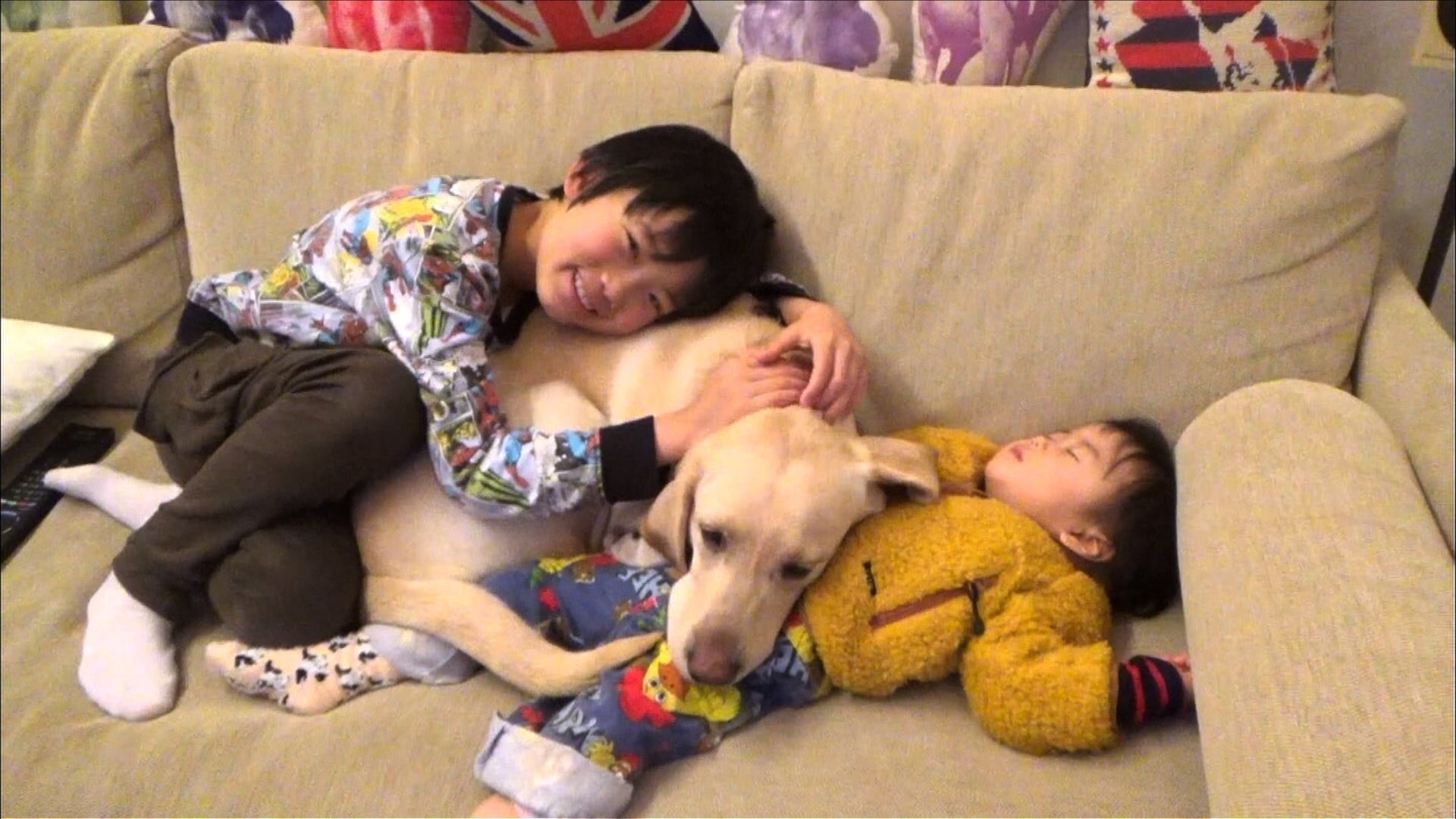 生き物にサンキュー On Twitter 今夜7時の生き物にサンキューは スター犬 ネコsp 逆立ちでたくましく生きるネコ モモ 元補助犬候補のエミル エミルと子どもたちとの感動の成長物語 ミキ 亜生のネコの保護活動 トークも お見逃しなく 生き物にサンキュー ネコ