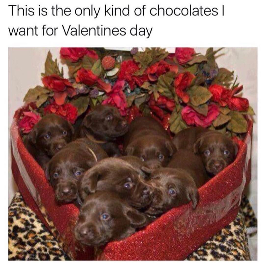 tartecosmetics's tweet photo. 😍😍😍😍😍😍😍😍😍😍😍😍 #tartetalk #ValentinesDay 📸: @MyThrpstSays https://t.co/6A9HetYarU