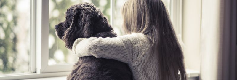 JSMuellerCo's tweet image. Who pays for window locks and who’s responsible for maintenance and/or damage? bit.ly/2Eo0oBo #windowlocks #bylaws #windowsafetydevices #stratalaw