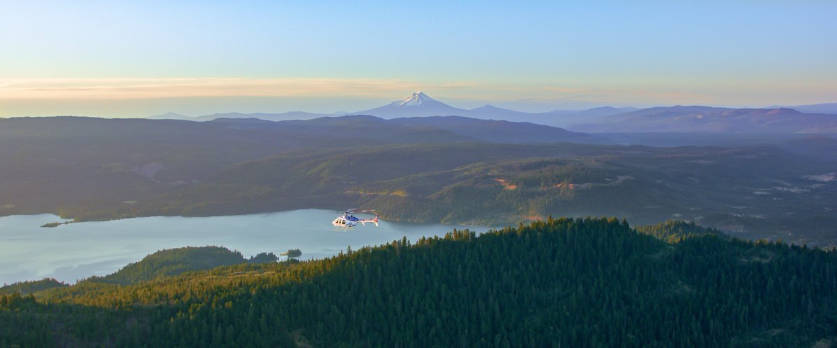 Jared Hail tweet media