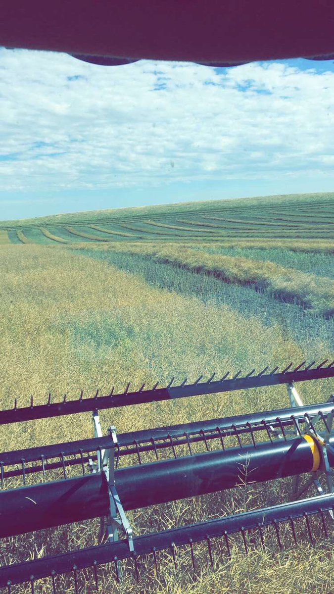 Bretthill_7's tweet photo. #CdnAgDay https://t.co/4dzwOMgBNH