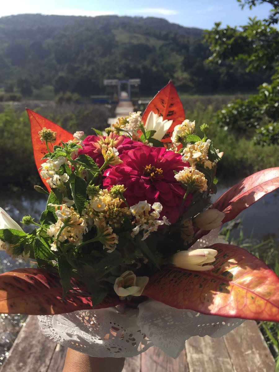 Sore nanti hari Valentin kalian dijamin akan makin romantis dan kreatif kalau datang ke <a href="/DodohaMosintuwu/">Dodoha Mosintuwu</a> di acara #LaunchingAlbumTanaPoso. Ada banyak bintang tamu dan buklet bunga ini akan menyambut kalian. #AnakMudaPoso #Poso #PosoTanaHarapan #InstitutMosintuwu #AlbumTanaPoso