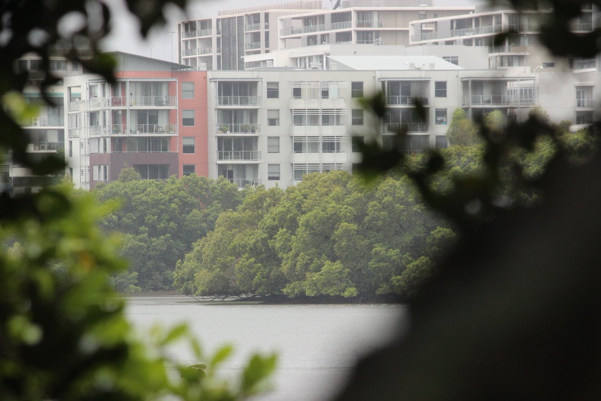 Only a couple of days left to get your abstracts in for the Australian Mangrove and Saltmarsh Network Conference. Does your research fit our theme of ‘mangroves and saltmarsh – the urban survivors’? Please submit an abstract!cvent.com/events/austral… #AMSN2018