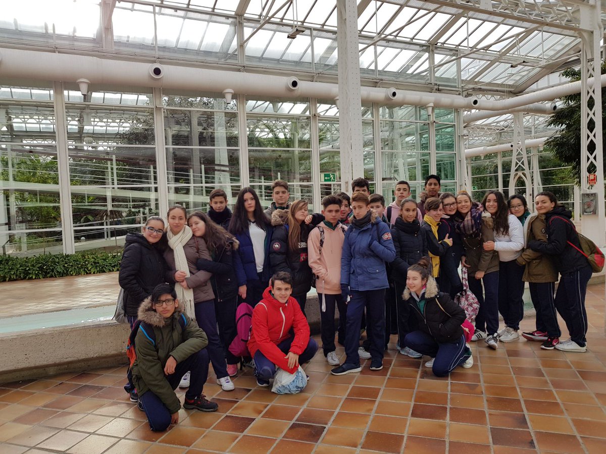 ColegioVedrunaV's tweet photo. 3°ESO en el Palacio de Cristal de Arganzuela, completando el proyecto Orienta Río, sobre Física, matemáticas y Educación Física en  @madridrio  orientándose con una app, estudiando la fuerza de rozamiento de los toboganes... disfrutando de un partidito de fútbol, #somosvedruna https://t.co/321Gg02IrP