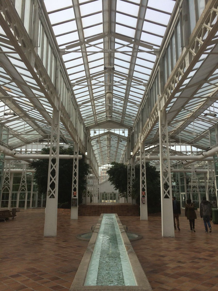 ColegioVedrunaV's tweet photo. 3°ESO en el Palacio de Cristal de Arganzuela, completando el proyecto Orienta Río, sobre Física, matemáticas y Educación Física en  @madridrio  orientándose con una app, estudiando la fuerza de rozamiento de los toboganes... disfrutando de un partidito de fútbol, #somosvedruna https://t.co/321Gg02IrP