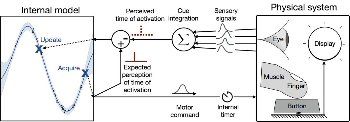 understanding models for