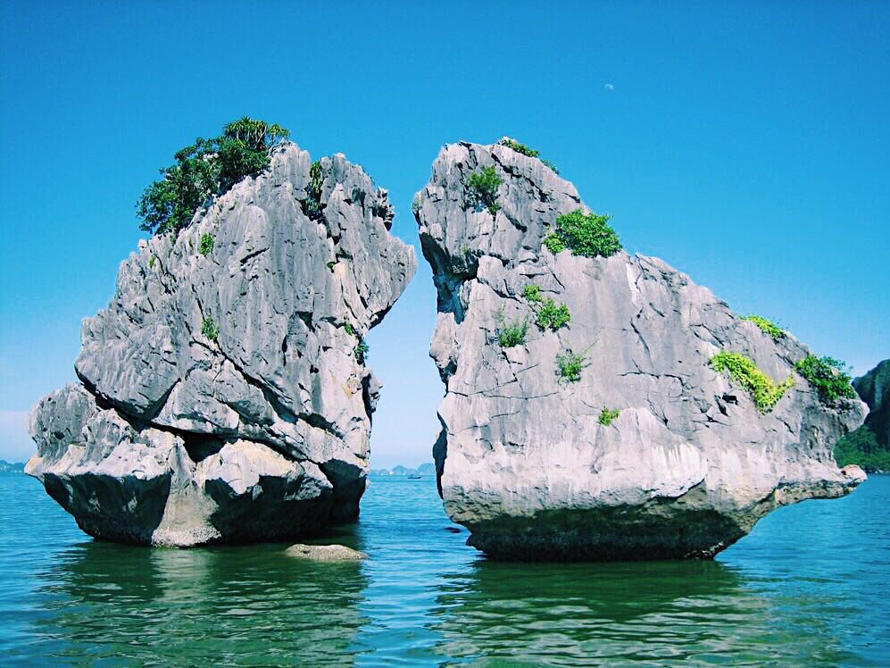JVFCruise's tweet photo. This rock was once believe a chicken &amp; a rooster kissing to represent love in Ha Long Bay. Happy Valentines Day love birds❣️ https://t.co/X9t6mUkGj2