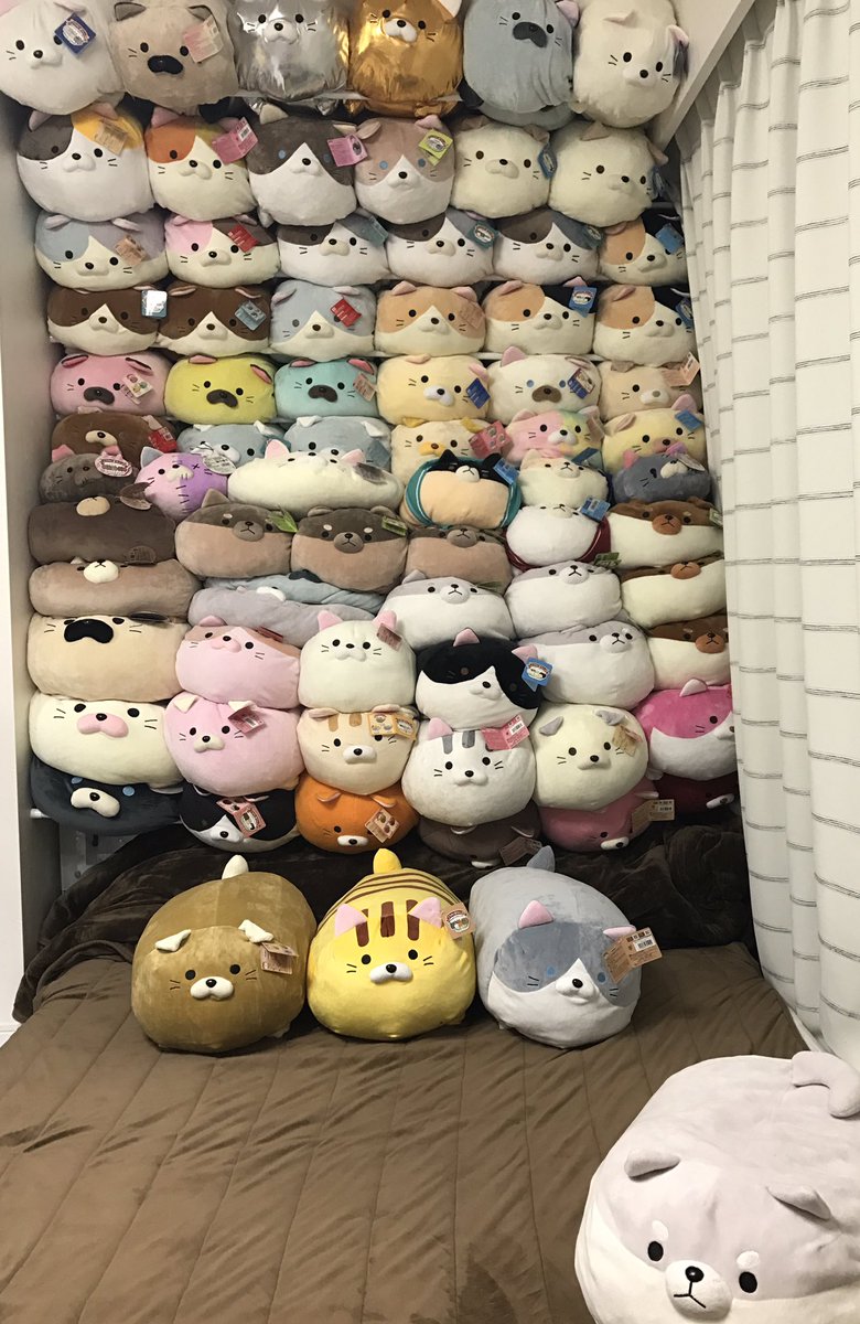 せりさんのごろねこ&豆しば保護活動 on X