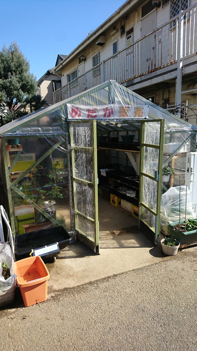 てつし 船橋の薬園台にある家メダカさんに行ってきました 店主さんはご自宅の一角をめだか屋さんにしてしまった猛者 品種もたくさんなのも凄いですがとにかく値段が安い ブログをやってらっしゃるので見てみて下さい お近くの方はぜひ行ってみて てつし 船橋の薬園台にある家メダカさんに行ってきました 店主さんはご自宅の一角をめだか屋さんにしてしまった猛者 品種もたくさんなのも凄いですがとにかく値段が安い ブログをやってらっしゃるので見てみて下さい お近くの方はぜひ行ってみて
