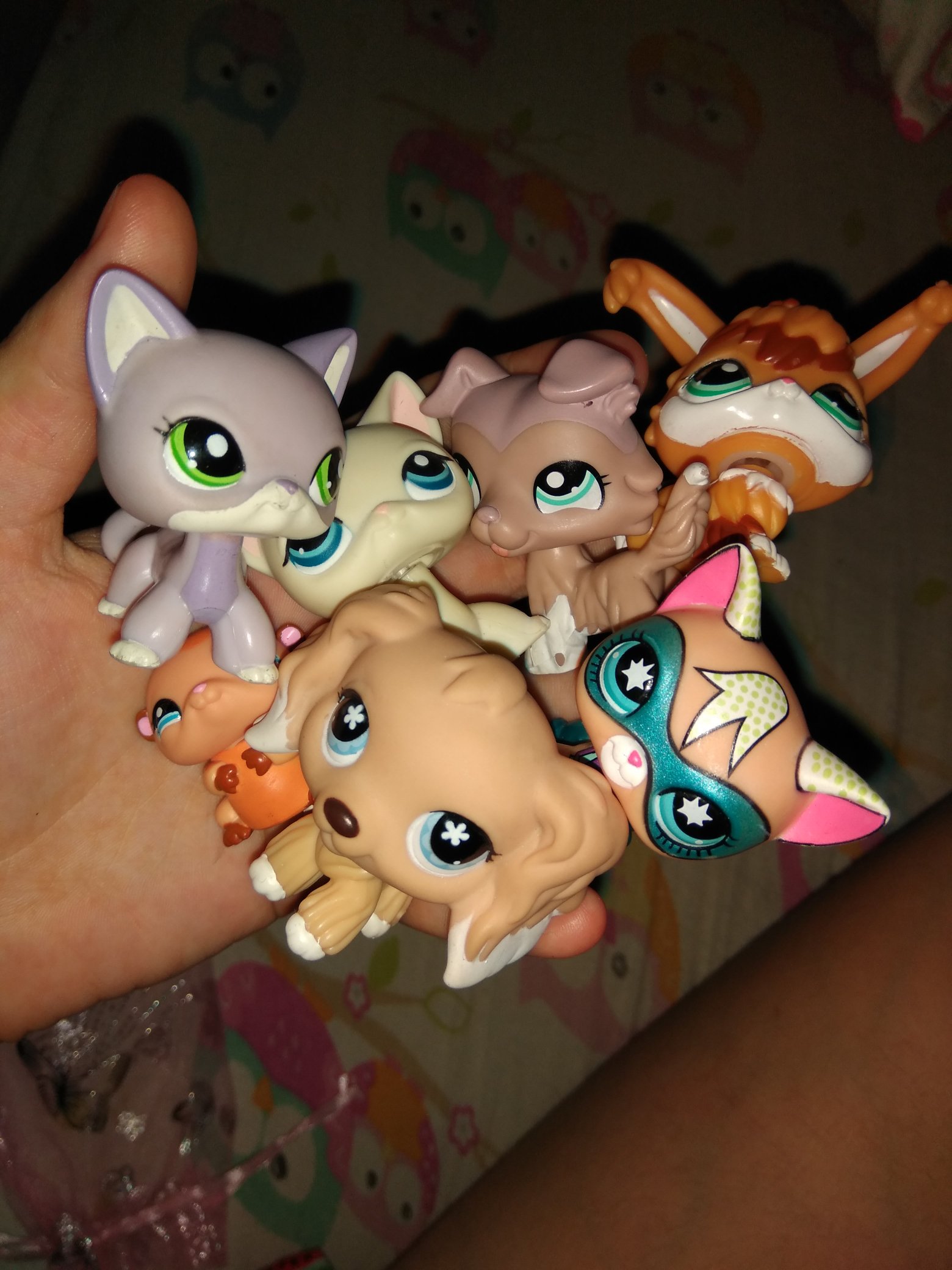 Most expensive lps best sale toys