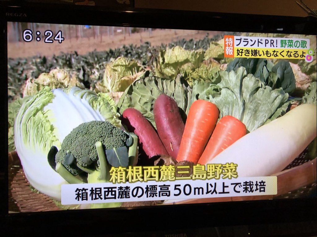 箱根西麓三島野菜のうた Twitter Search Twitter