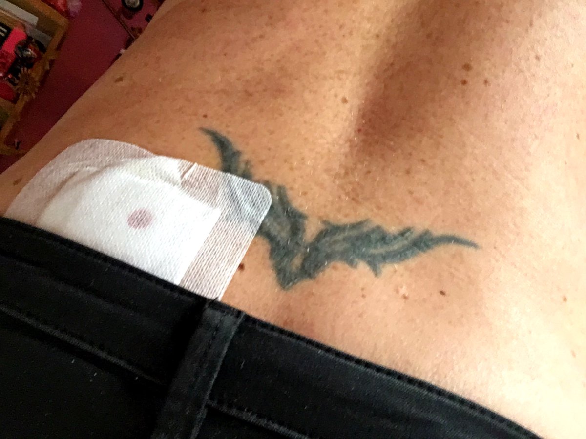 AnnaLisa tweet media