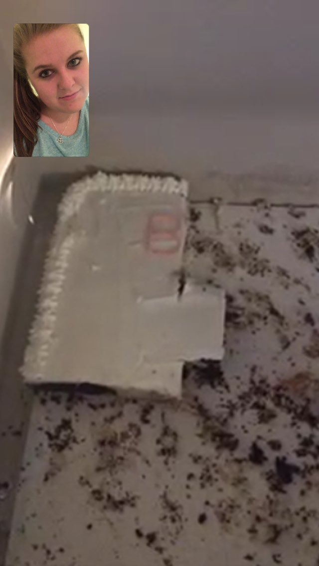 molldoll847's tweet photo. OLIVIA NEEDS TO BE STOPPED. SHE STOLE THE CAKE FROM BIRTHDAY MASS TONIGHT #StealingFromGod @livvieb66 https://t.co/1Z6PyHyqw2