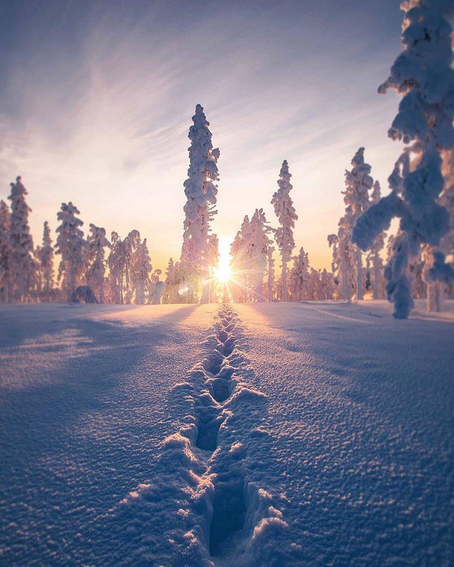 Winter morning..🌞💦❄
                #WonderfulNewWeek 🐞🍀