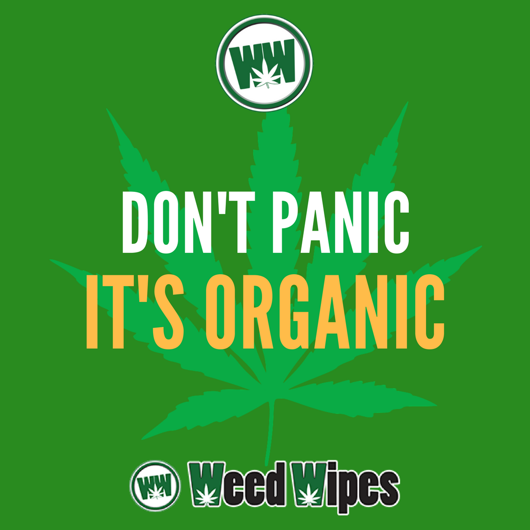 WeedWipes's tweet photo. 💨 ANYONE IS LOOKING FOR SOME SMOKE TODAY ??? DON'T FEAR IT's ORGANIC 💨
#WeedWipes #ResinRemover #Marijuana #Weed #PipeCleaning #BongCleaning #Denver #Cannabis #WeedFacts #CannabisCommunity #MarijuanaQuote #MedicalCannabis #WeekStarts #HaveSomeWeed #Organic https://t.co/piIlmOoVyz