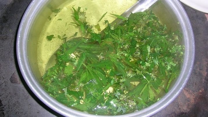 как сделать молоко из марихуаны как сделать молоко из марихуаны