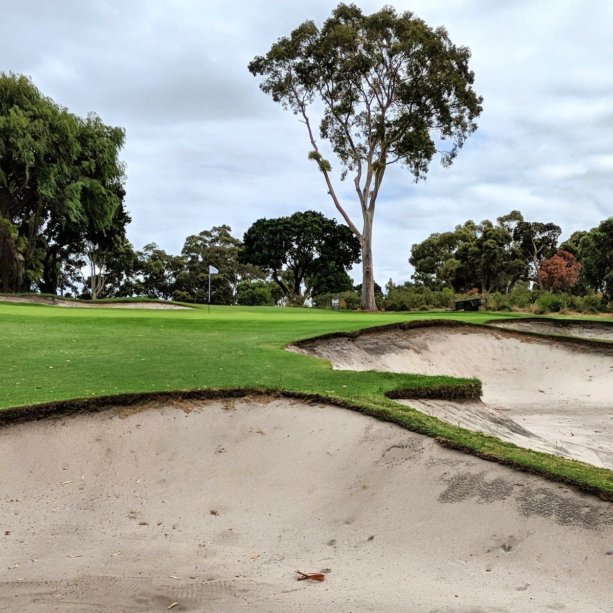 Hauser_Mike's tweet image. Last four days, 3 courses, 2 states, 76 holes, 77,434 steps. @Barnbougle @CommonwealthGC #HowGoodIsGolf #Golf