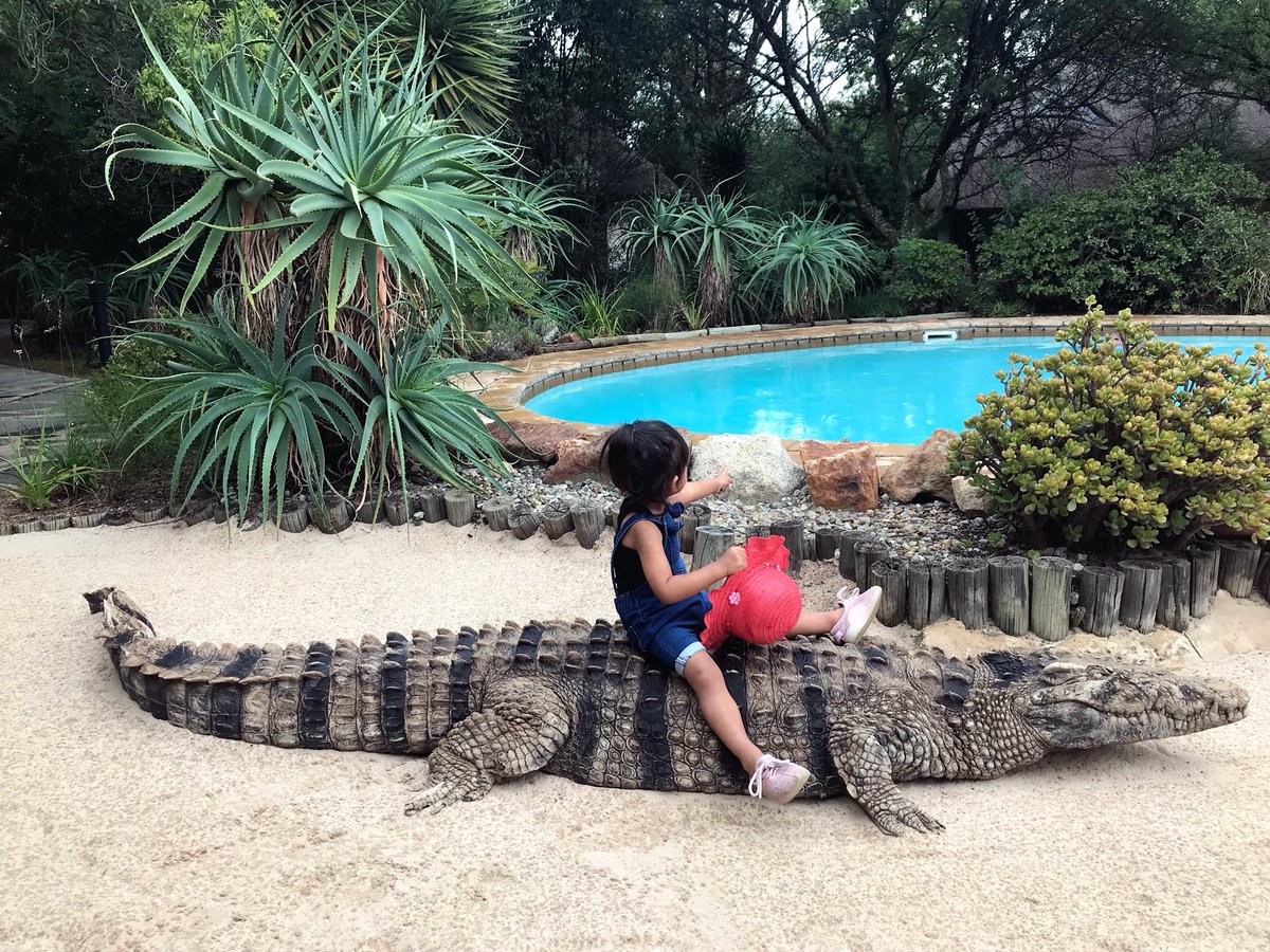 FesyaLee's tweet photo. Larissa with 🐊💚  @quanz123 https://t.co/vexKymO6wS