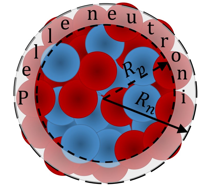 mediainaf's tweet image. Microscopio a #neutrini “spella” il #neutrone: un gruppo italo-cinese, guidato da due ricercatori dell'@INFN_, è riuscito a misurare, per la prima volta, la distribuzione dei neutroni nel nucleo del cesio, scoprendo che occupano più spazio del previsto media.inaf.it/2018/02/12/neu…