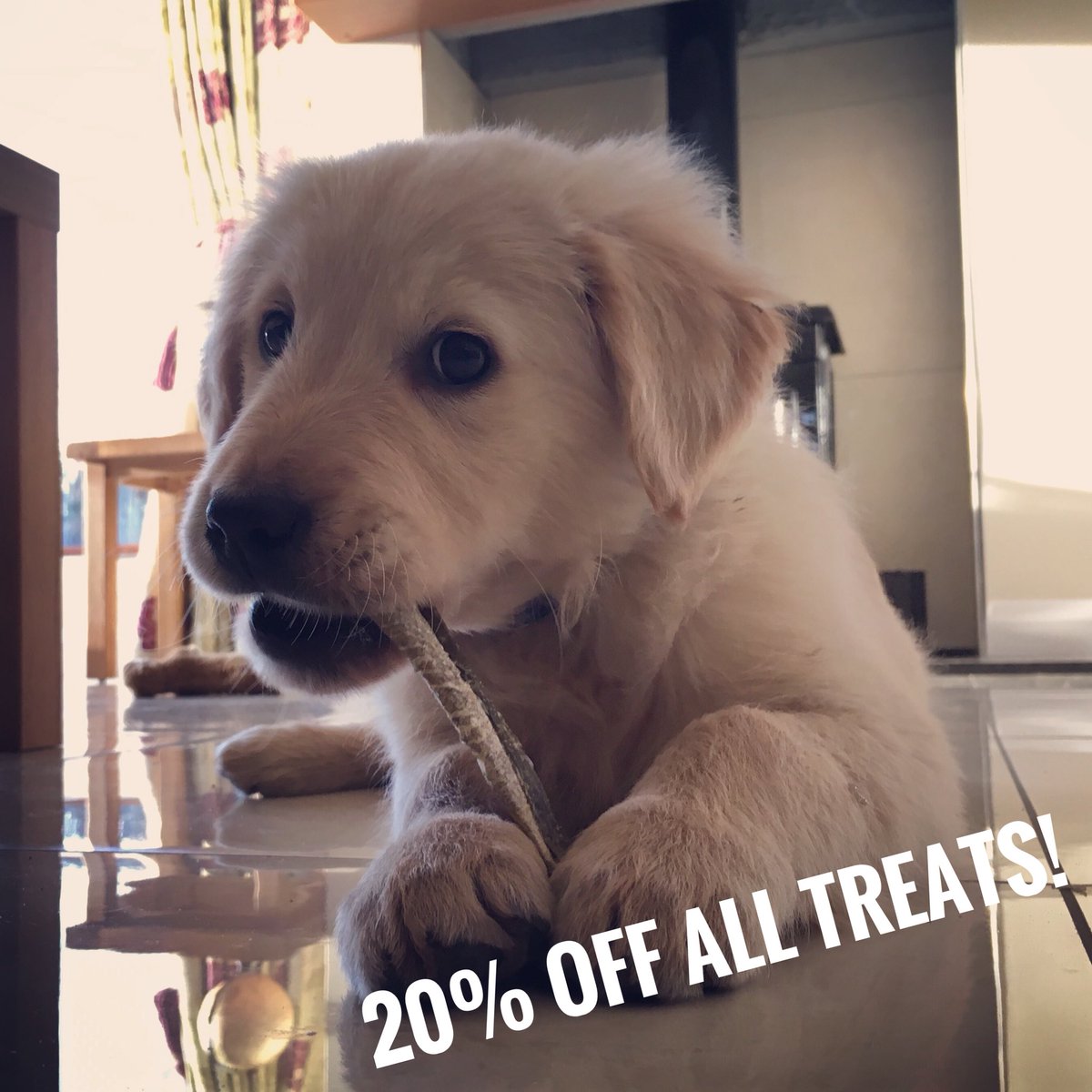❤️We’re feeling the love❤️
20% off all treats with the code:
TWITTERLOVE20
Treat the one you love this Valentines🐶
.
Visit our website
#discount #Voucher #dogtreats #dogsoftwitter #love #ValentinesDay2018