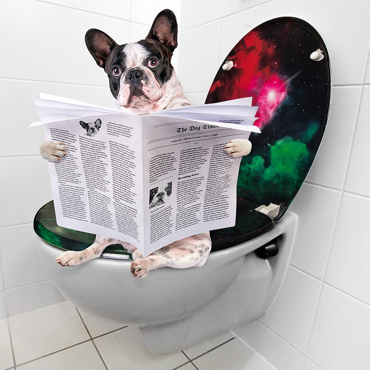 SitzmitWitz's tweet photo. Unser stimmungsvoller WC-Sitz im #Galaxy Design zeigt die Weiten des geheimnisvollen Weltraums mit einer roten und einer grünen Gaswolke im Vordergrund. 👾🚀 | https://t.co/V2IYIbfhlZ | #wcsitz #wcbrille #wcdeckel #toilettensitz #toilettendeckel #klositz #Weltraum #Sterne #Space https://t.co/GF3yIGZnUO