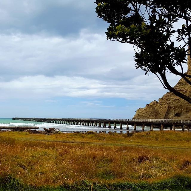 FrancesVessey's tweet photo. The Tolaga Bay very long and historic wharf https://t.co/NOfn4BtUld