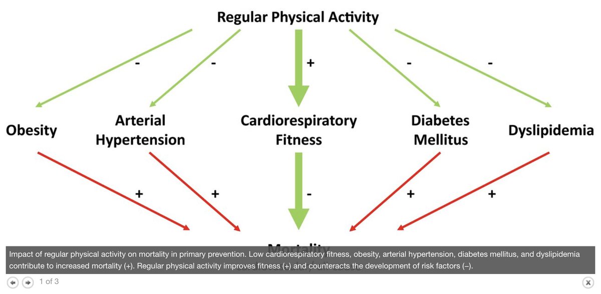 Prof Kamlesh Khunti (@kamleshkhunti) on Twitter photo Impact of regular physical activity on mortality in primary prevention
jaha.ahajournals.org/content/7/4/e0… <a href="/exerciseworks/">Exercise Works!</a> <a href="/LDC_tweets/">🌱Leicester Diabetes</a> @PHE_uk <a href="/CDCgov/">CDC</a> @PHE_obesity @CDCObesity Impact of regular physical activity on mortality in primary prevention
jaha.ahajournals.org/content/7/4/e0… <a href="/exerciseworks/">Exercise Works!</a> <a href="/LDC_tweets/">🌱Leicester Diabetes</a> @PHE_uk <a href="/CDCgov/">CDC</a> @PHE_obesity @CDCObesity