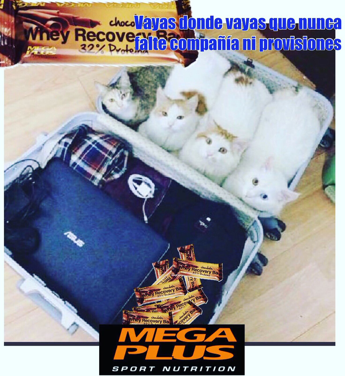 Vital Fit Palma tweet media