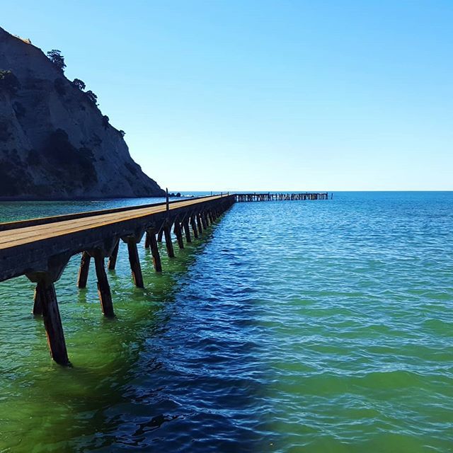 FrancesVessey's tweet photo. Another bay, another wharf. Tokomaru Bay historic wharf alongside freezing works ruins https://t.co/Hj9C7LNrut