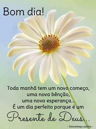CorrinhaSousa's tweet photo. @SandraPrimo  https://t.co/CGzVARTJP8