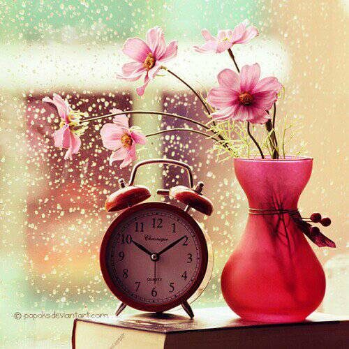 الله يبعد عني و عنكم موآجع الدنيآ
 ويرزقنآ السعآدة من سآبع سمآه💭❤