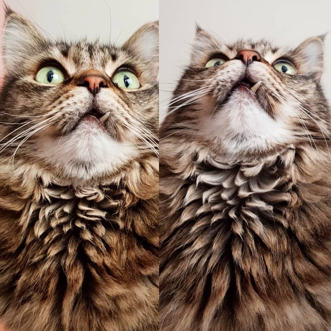 Psychology Facts (@adcbft) on Twitter photo 