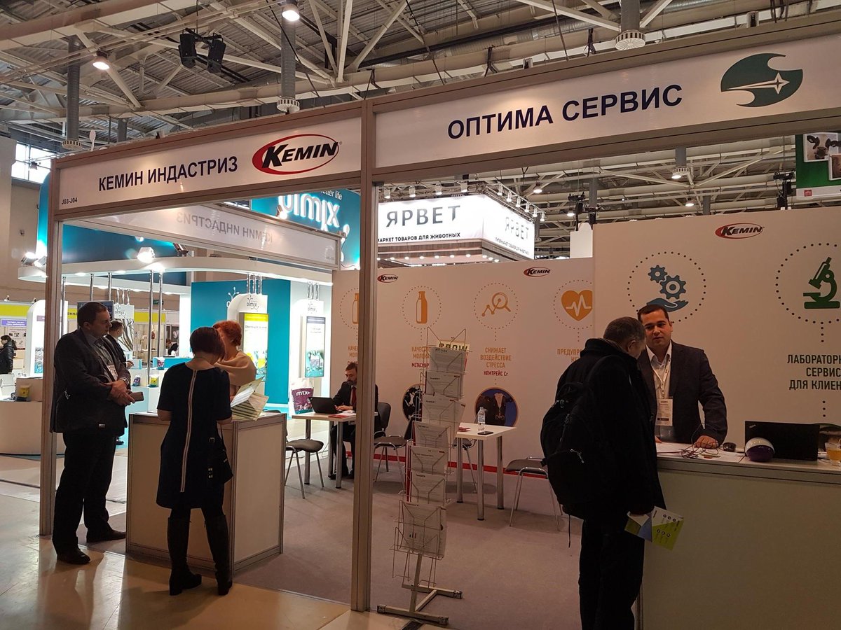 Оптим сервис групп. Оптим сервис групп. Оптима сервис регион. Ооо сервис групп. Ооо оптима сервис.