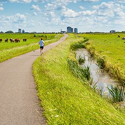 rivm's tweet photo. Chance of ESBL contamination via livestock farming is small https://t.co/EWdnI2YZo7
Humans important source transmission of ESBLs to other humans. Collaborative research @WUR #GD AnimalHealth #1Health4Food #antimicrobialresistance #OneHealth #foodsafety https://t.co/5ozv2Iucf2