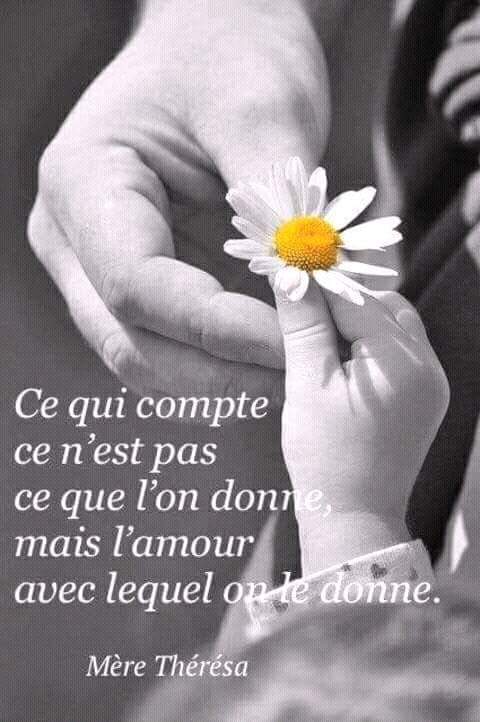 Loura Bebe Bebe Loura Twitter