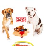 Photo by Jayne #endBSL (@dendlej)