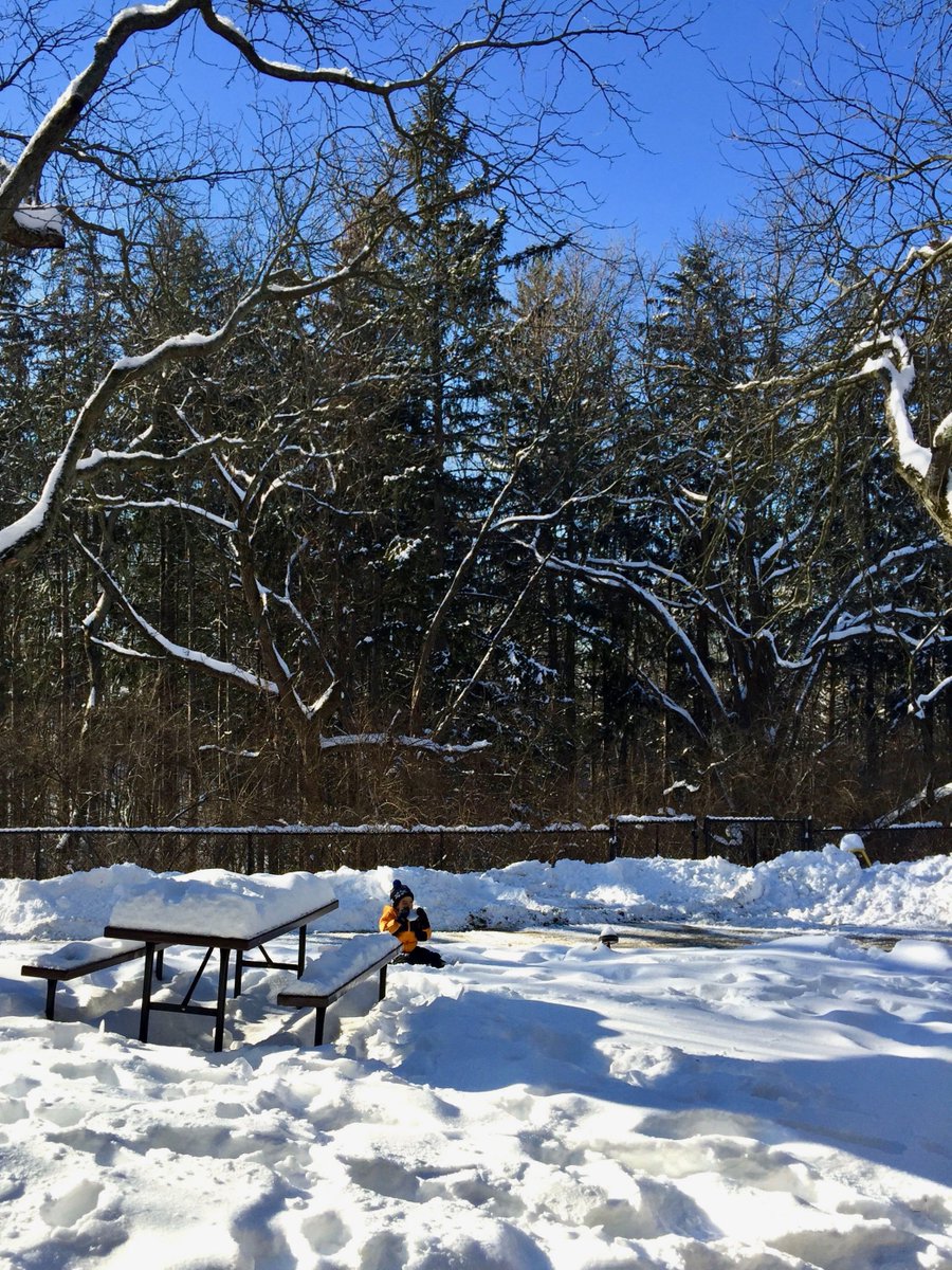 I caught my child eating snow. #wildlifephotography