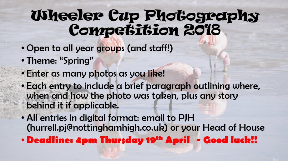 Enjoyed launching the @NottsHigh Wheeler Cup Photography Competition this morning 📸 🏆 Can’t wait to see the entries and the creativity of our students (and staff!) @NHSCoopers @NHSWhitesHouse @MaplesNHS <a href="/MellersHouseNHS/">Mellers' House at Nottingham High School</a>. Rules and details attached. Good luck!