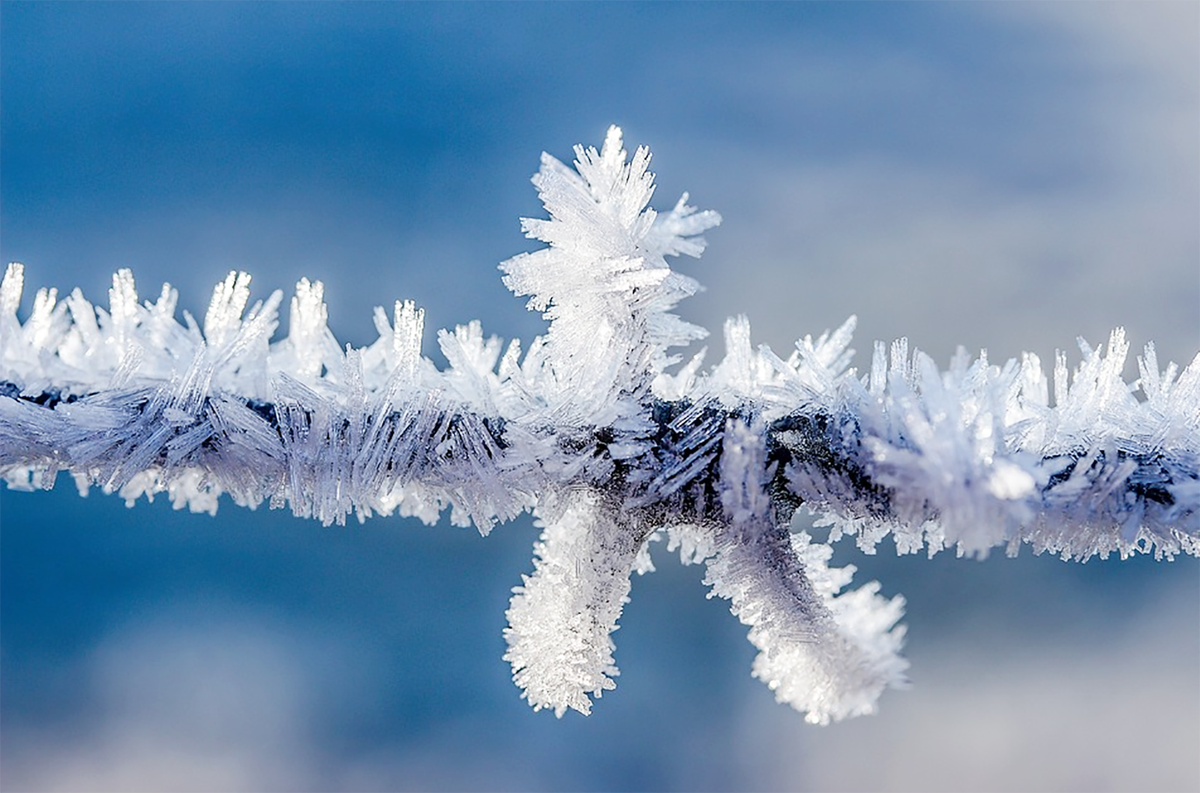 CultWinesUK's tweet photo. Chateau Angludet has revealed it won’t be making a 2017 wine due to frost damage that essentially wiped out its cropshttp://www.wineinvestment.com/02/no-angludet-2017-due-to-frost-damage/ #Frost #ChateauAngludet #Bordeaux #2017Vintage #Wine https://t.co/XN1IdMFPPB