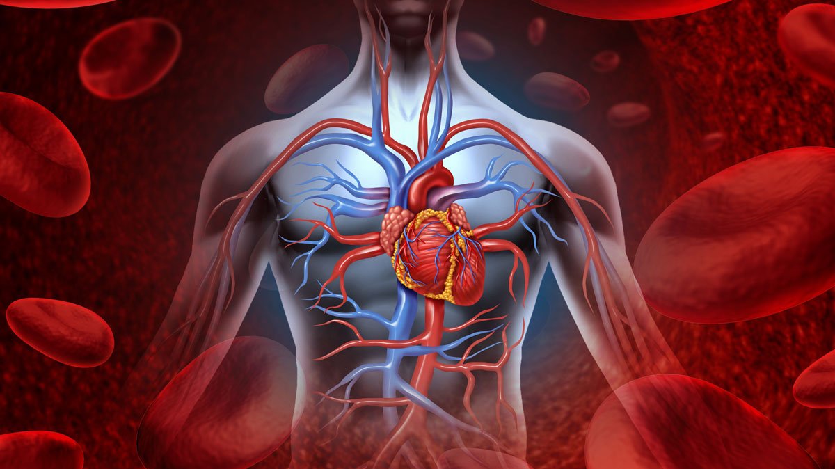 6 Of the Worst Foods for Your Heart ➡ ahealthblog.com/jp60