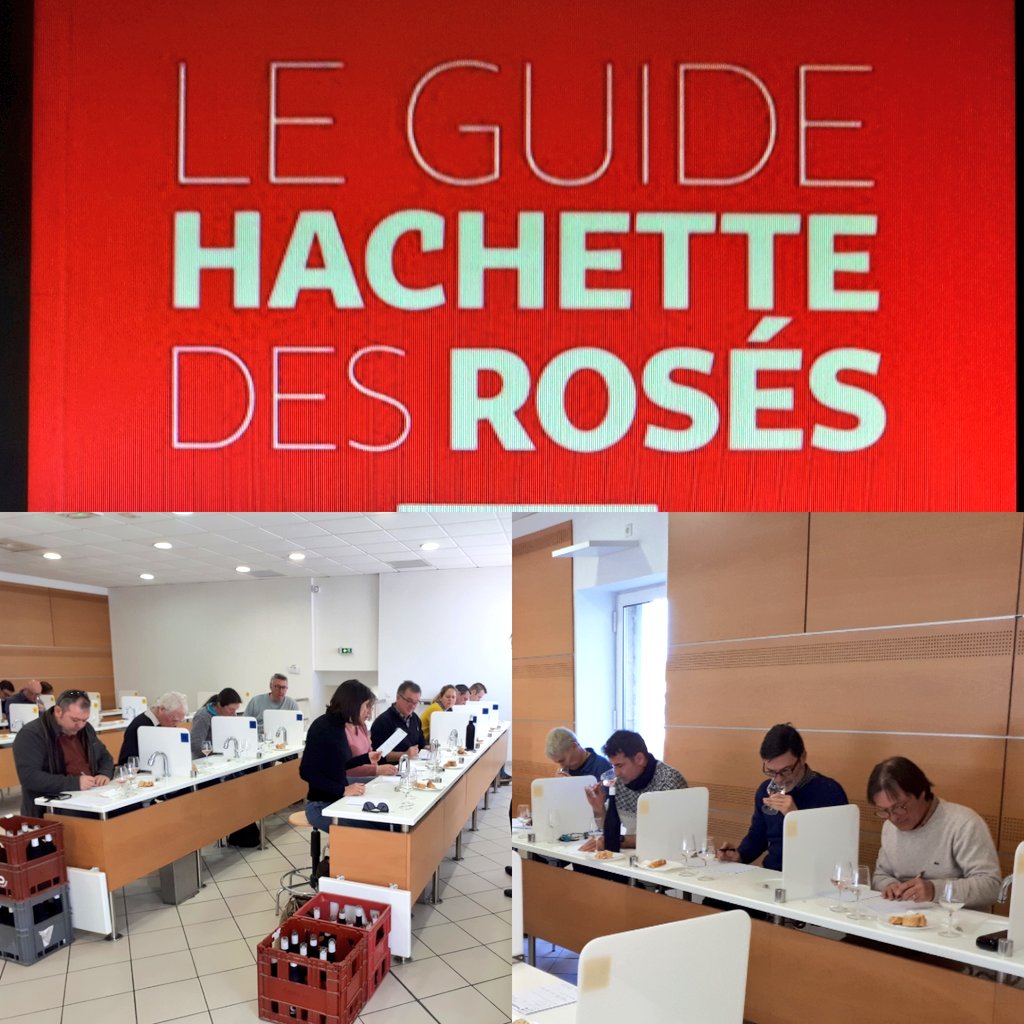 Dégustation du Guide Hachette spécial Rosés en cours au siège des Vins Pays d'Oc IGP. 140 échantillons en lice pour tenter de figurer dans le célèbre guide 🤞 #TastePaysdOc