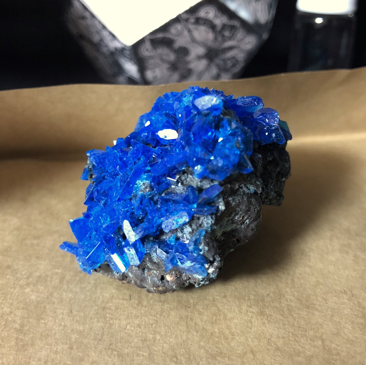 さぼてん うばたま V Twitter カバンシ石かわいいよねー 悩んで何度か見送ってるけどウーニ君の素敵だー 2枚目の石 なんだろって図鑑見てみたら 胆礬 カルカンサイト ってのかな 鮮やかな青系もいいなぁ