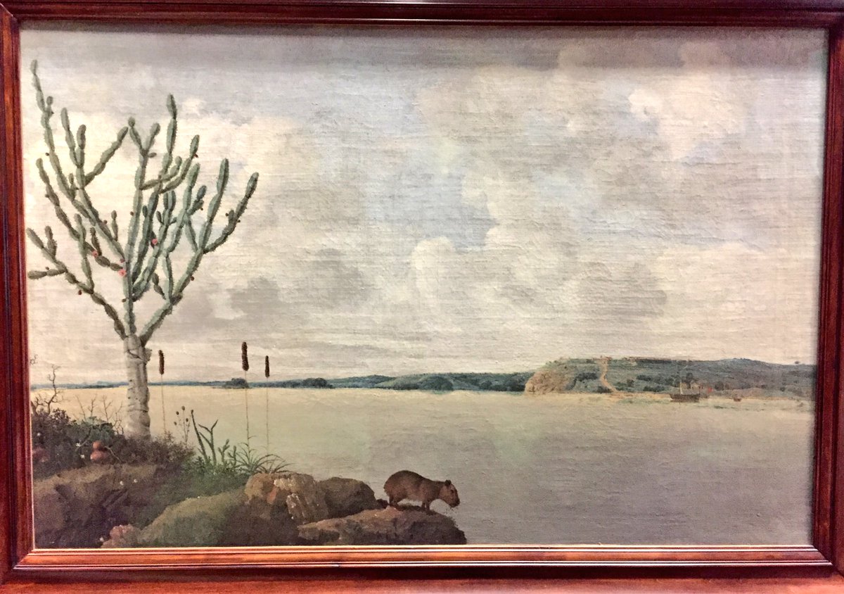 izzo_d's tweet photo. Parmi les toutes premières représentations du #Brésil le peintre néerlandais #FransPost (1612-1680), talentueux paysagiste, dont plusieurs tableaux sont au @MuseeLouvre https://t.co/6rBHbumn4f