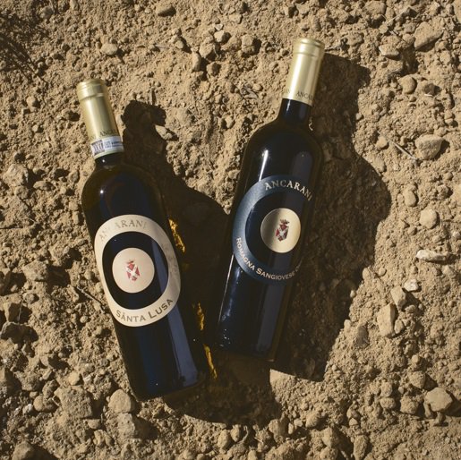 MUERFood tweet media