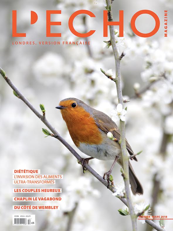 LIBRAIRIE LA PAGE (@librairielapage) on Twitter photo L'Echo Magazine de février-mars est disponible !
Plus de 60 pages sur l'actualité culturelle londonienne et des informations pratiques pour bien vivre à Londres au quotidien
Retrouvez-le à la librairie La Page ou abonnez-vous sur lechomagazine.uk L'Echo Magazine de février-mars est disponible !
Plus de 60 pages sur l'actualité culturelle londonienne et des informations pratiques pour bien vivre à Londres au quotidien
Retrouvez-le à la librairie La Page ou abonnez-vous sur lechomagazine.uk