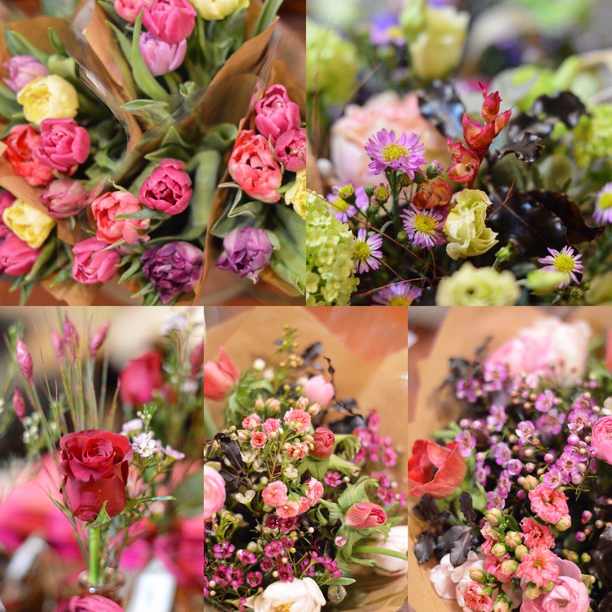 dartsfarm's tweet photo. Brightening up your Monday with a selection of arrangements from the #FlowerShack! #ValentinesDay #ExeterHour https://t.co/wOc3BnXLcW
