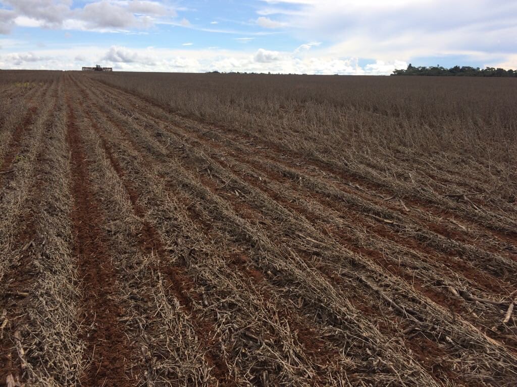 GRAINSOILSEEDS's tweet photo. #Brazil- Farmers are abandoning soybeans  fields due to the heavy rains and sowing corn. https://t.co/EPecsuHNKc