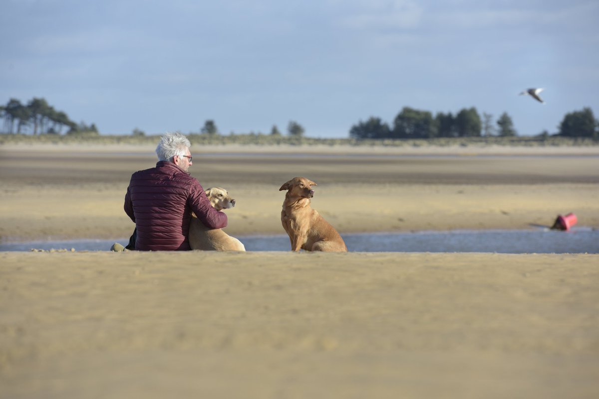 Share the love and get involved by filling out our #tourism and #leisure business survey! Lots of businesses affected by tourism have already filled out the survey. If you haven't, don't miss out #haveyoursay #yourviewscount bit.ly/Tourism2018 <a href="/LGTourism/">LGTourism</a> <a href="/CScargillLG/">Chris Scargill</a>